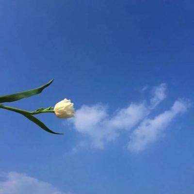 tv帝国大亨游戏下载