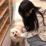 大掌门2渠道手游下载